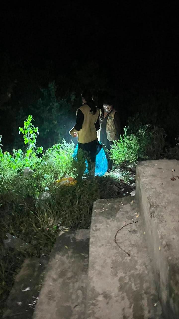 No Evidence of Lion Found in Saidpur Village, IWMB Rescue Team Confirms