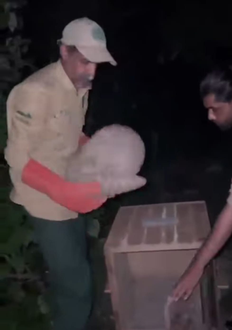 Rescued Pangolin Released Back into Margalla Hills National Park