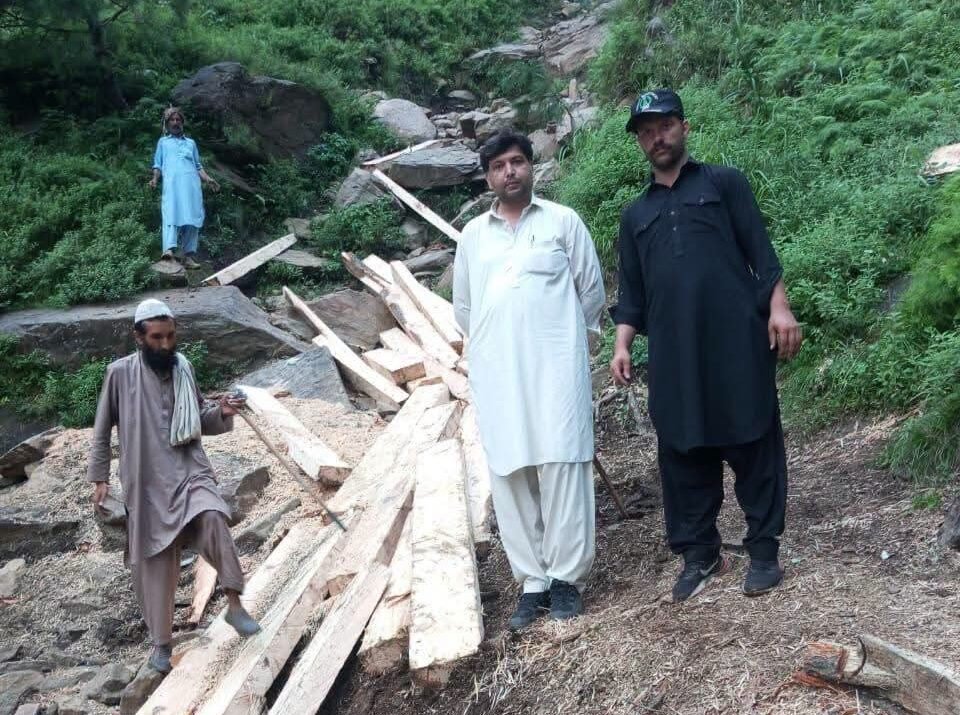 Swift Forest Action: 138.5 Cft of Illegally Cut Kail Timber Seized in Alpuri