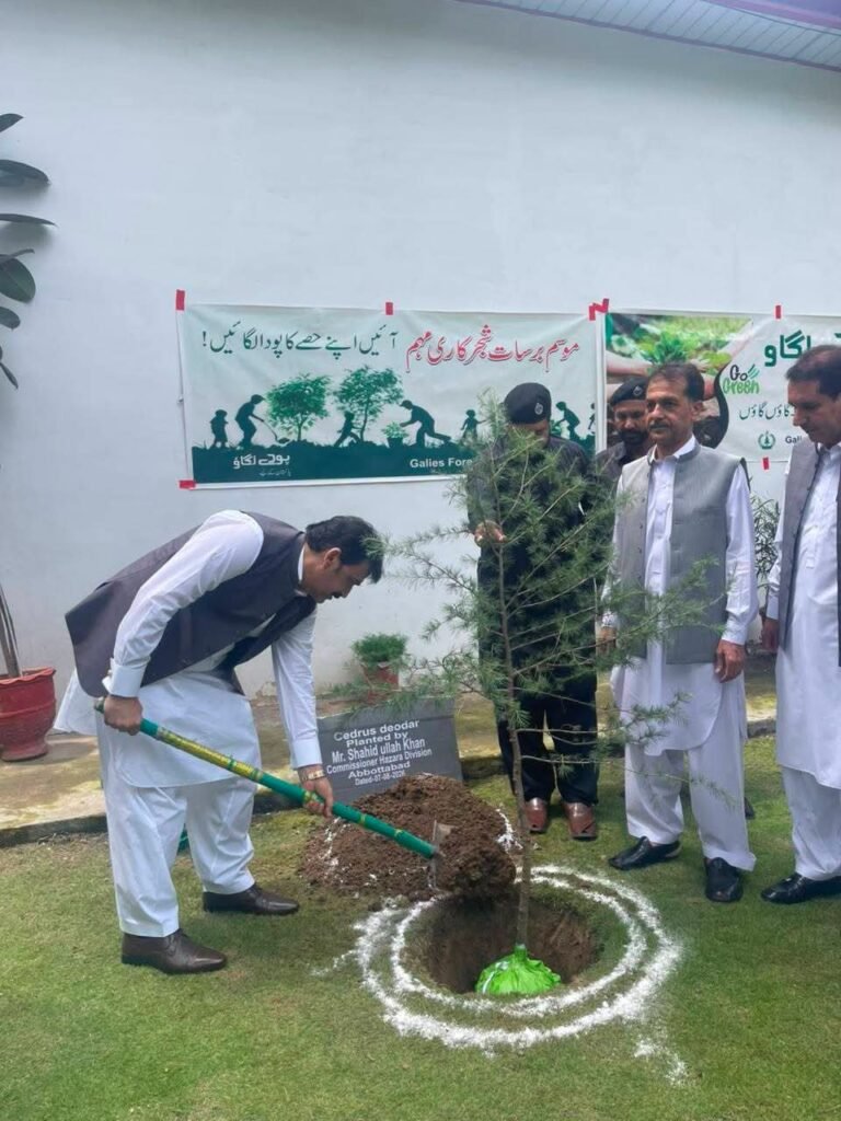 Hazara Plans 480,000 Saplings for August 14 Plantation Drive