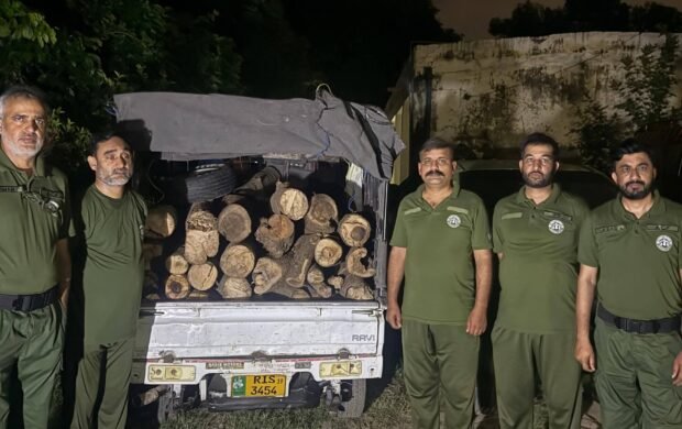Illegal Timber Crackdown: Pickup Seized on Kahuta Road