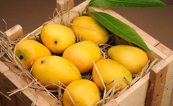 2026 mango season: Pakistan exports 44,882 tonnes so far