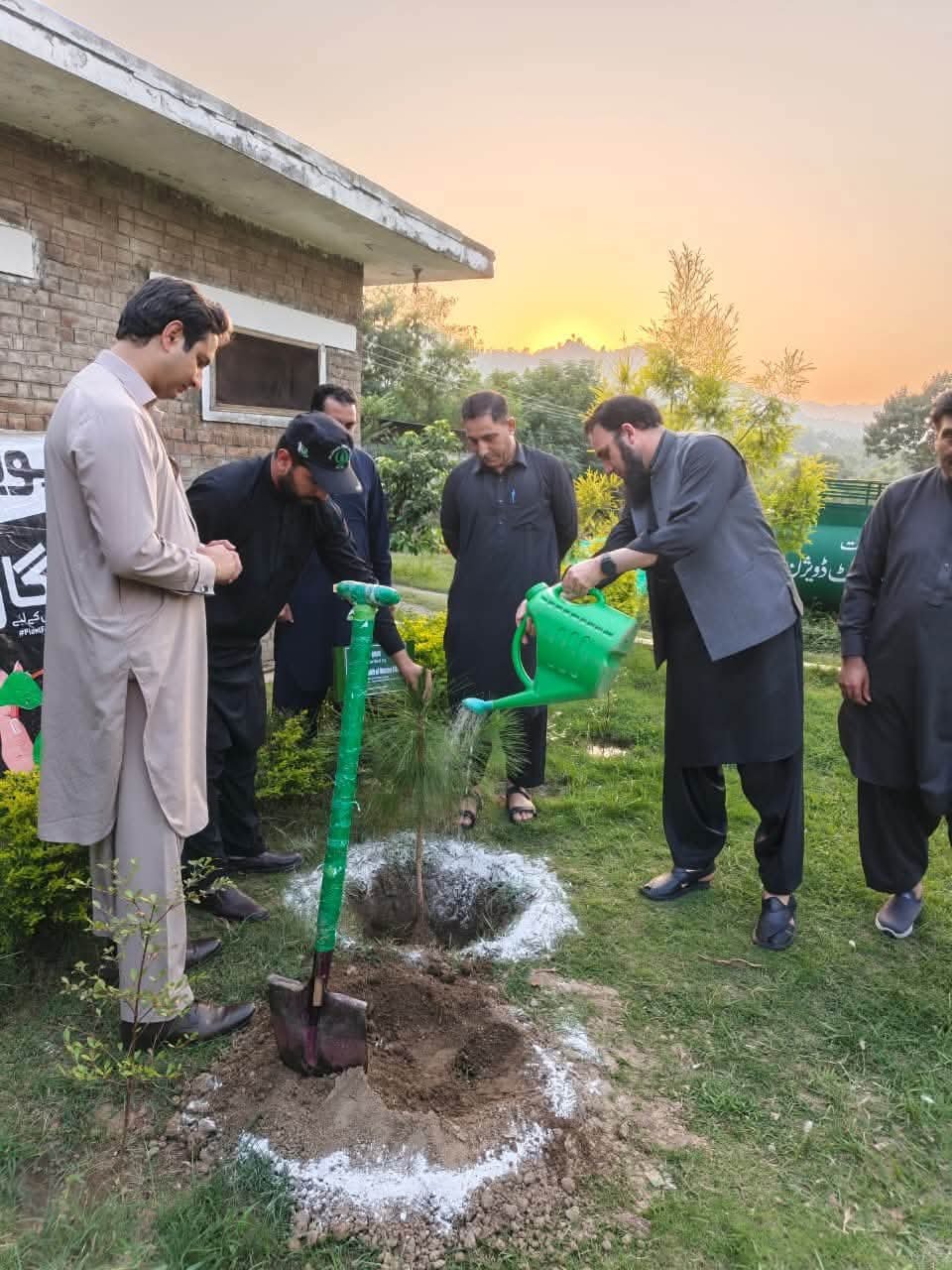 Additional Secretary Plants Pine Sapling in Malakand Forest Division