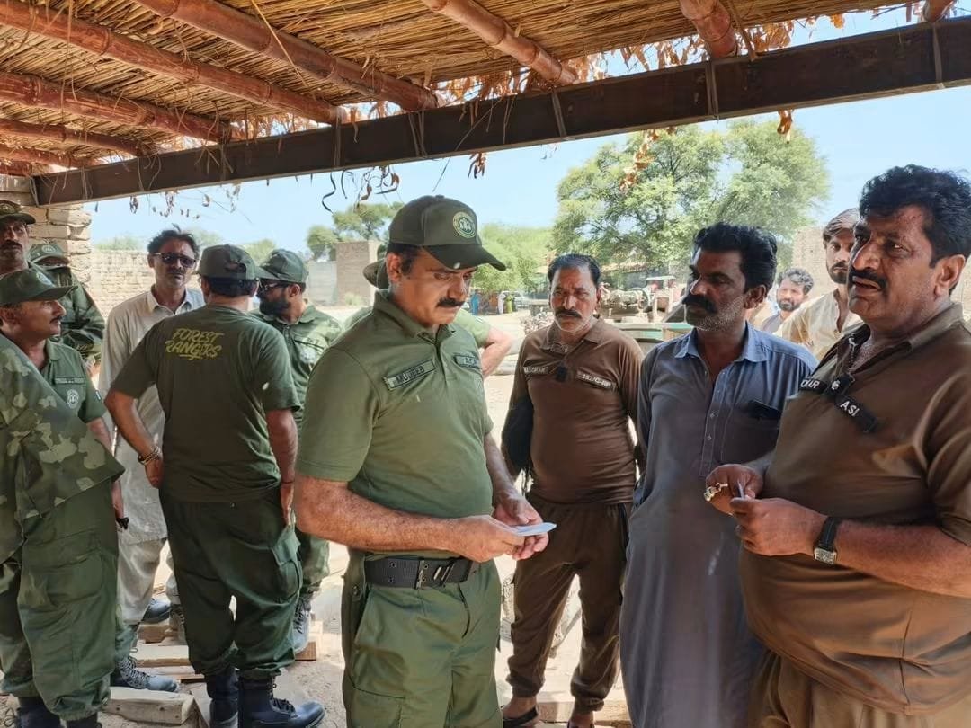 Forest Department Launches Major Crackdown on Illegal Sawmills in Rajanpur