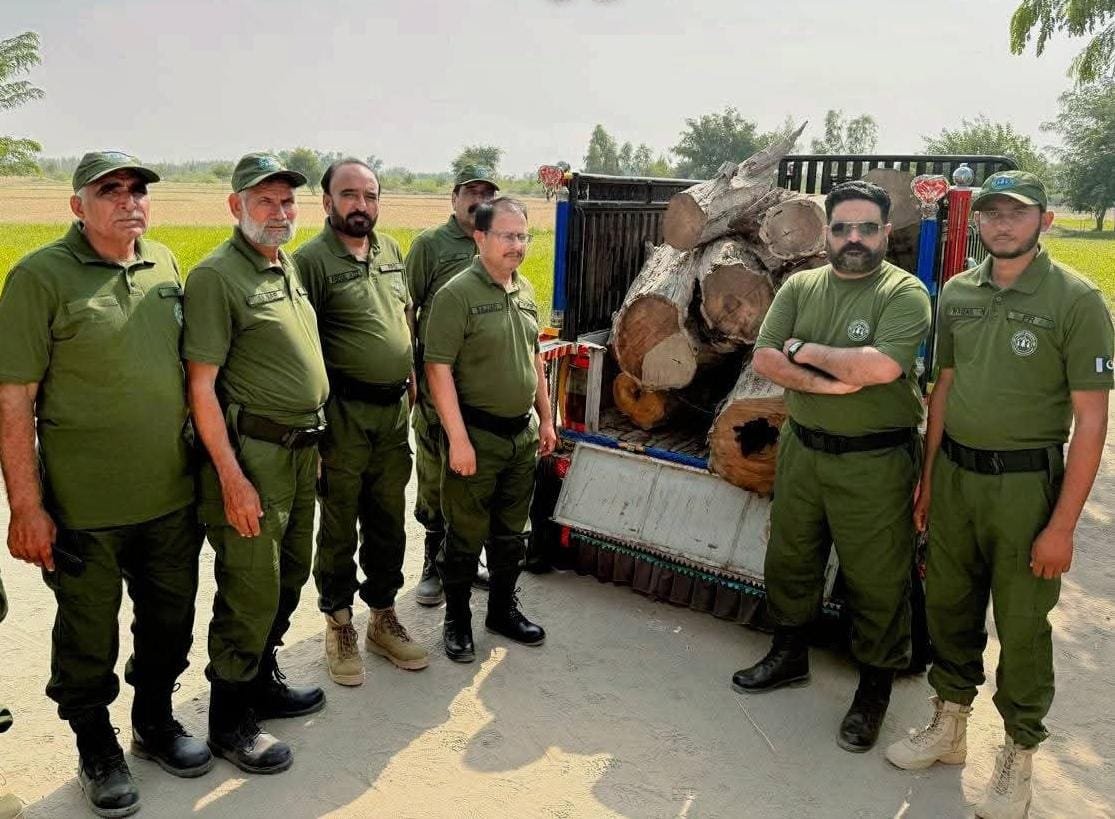 Forest Department Seizes Timber-Laden Vehicle in Action Against Illegal Logging in Layyah