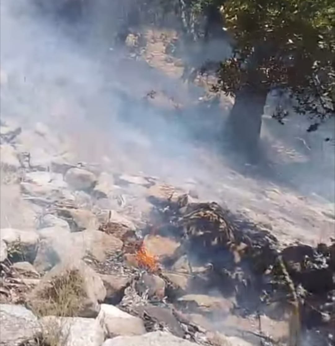 Forest Fire in Darel Controlled Through Joint Efforts of Forest Staff and Community