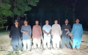 Ghotki Forest Department Steps Up Night Patrols Against Illegal Tree Cutting and Encroachments