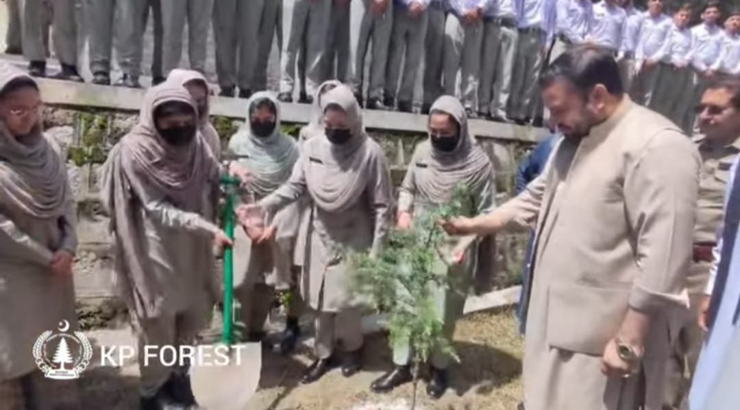 KP Forest Department Steps Up Efforts for a Greener and More Sustainable Province
