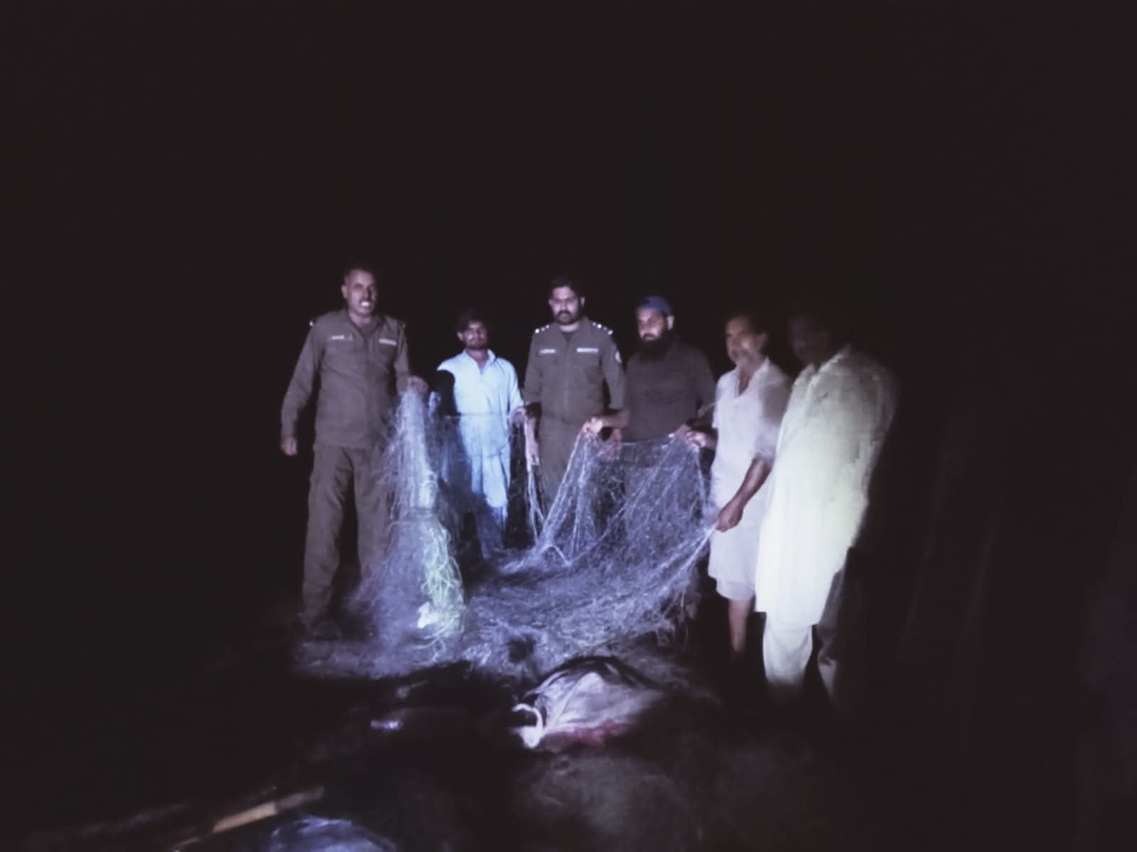 Punjab Launches Province-Wide Crackdown on Illegal Fishing to Protect Aquatic Life