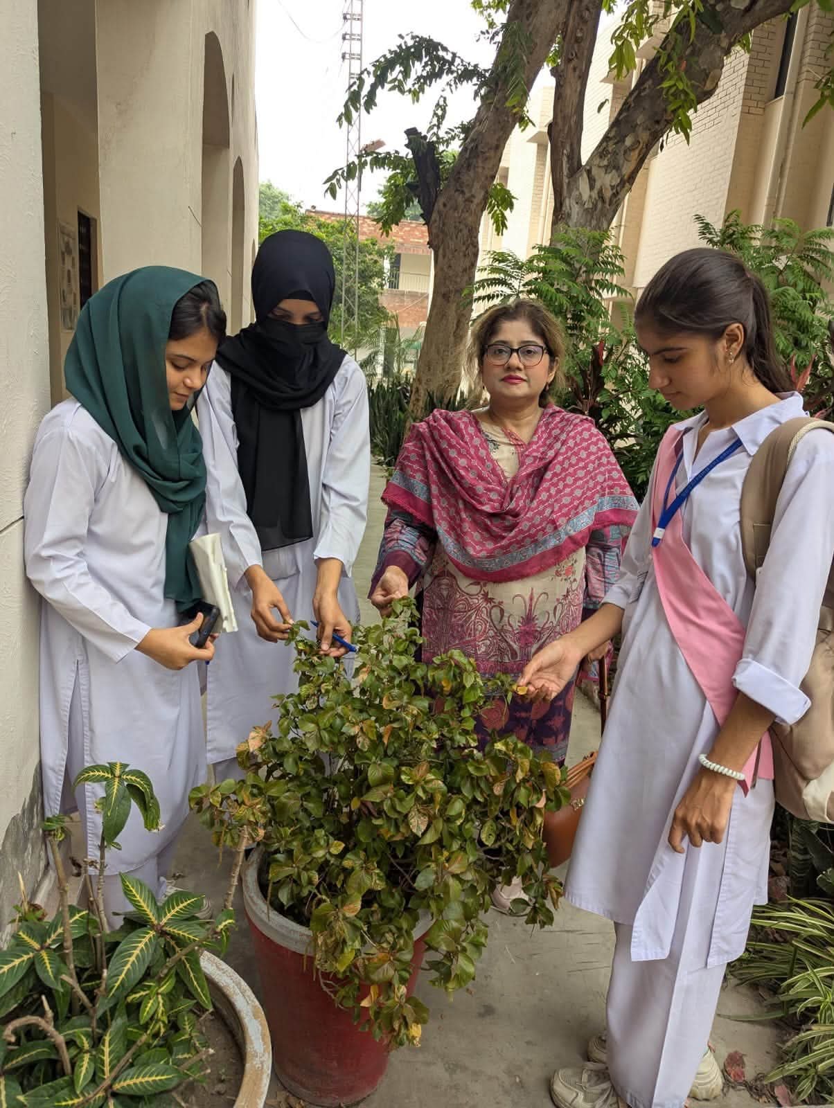 Students Study Air Pollution Effects on Plants Through Campus Field Survey
