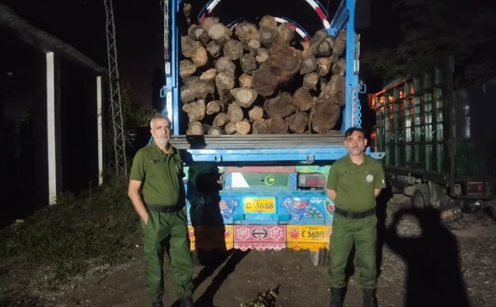 Forest Department Seizes Truck Carrying Suspected Illegal Shisham Timber in Kahuta