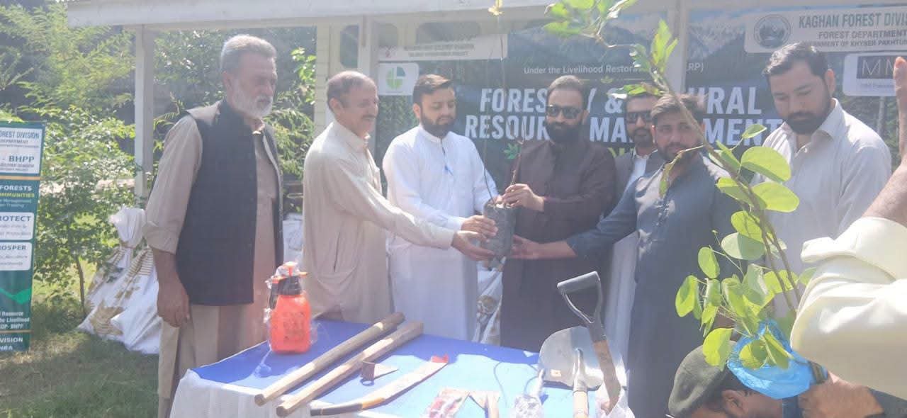 Forestry Training Strengthens Climate Resilience and Natural Resource Management in Balakot