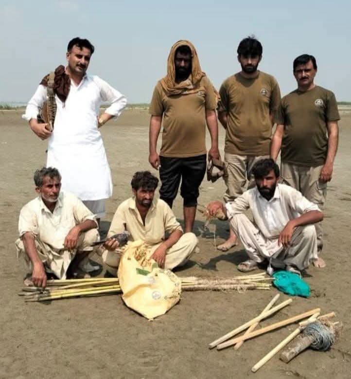 Wildlife Team Arrests Falcon Hunters in Piplan, Recovers Hunting Equipment