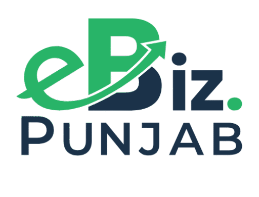 Punjab records strong uptake as e-Biz processes over 146,000 applications