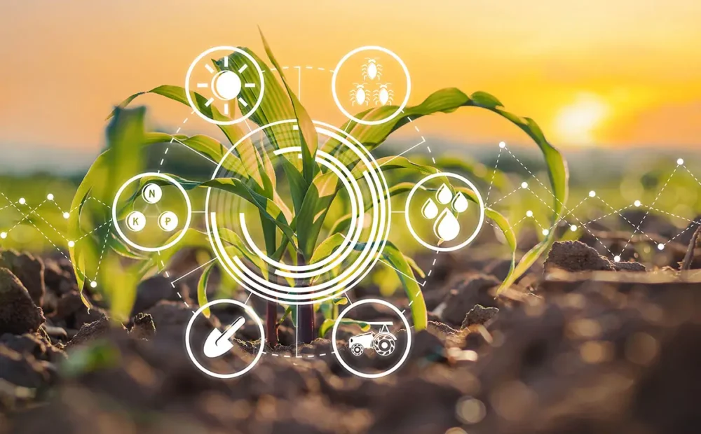 Punjab targets sustainable agriculture in Cholistan and Thal with £300,000 projects