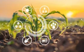 Punjab targets sustainable agriculture in Cholistan and Thal with £300,000 projects