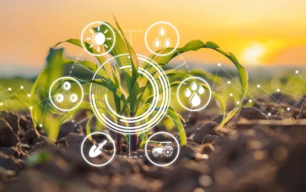 Punjab targets sustainable agriculture in Cholistan and Thal with £300,000 projects