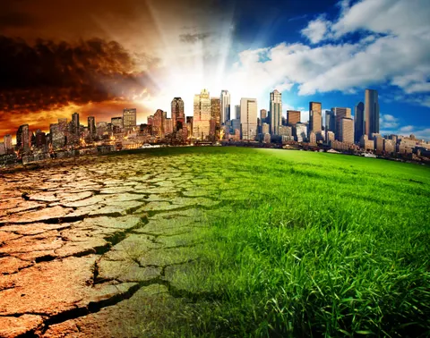 Climate Change Should Be Declared a Global Health Emergency, Experts Warn