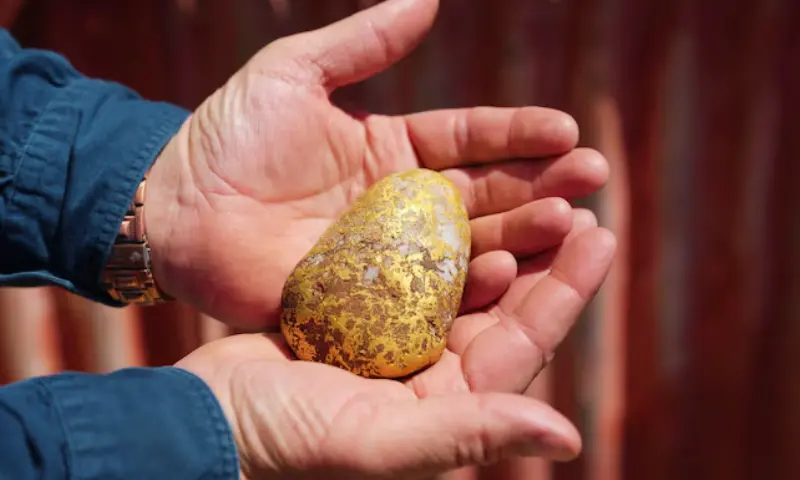 Australian Prospector Finds 1.2kg Gold Nugget Worth Up to 0,000