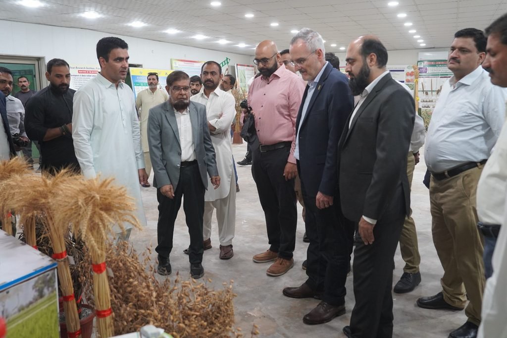 CIMMYT Strengthens Wheat Research in Pakistan with New Equipment