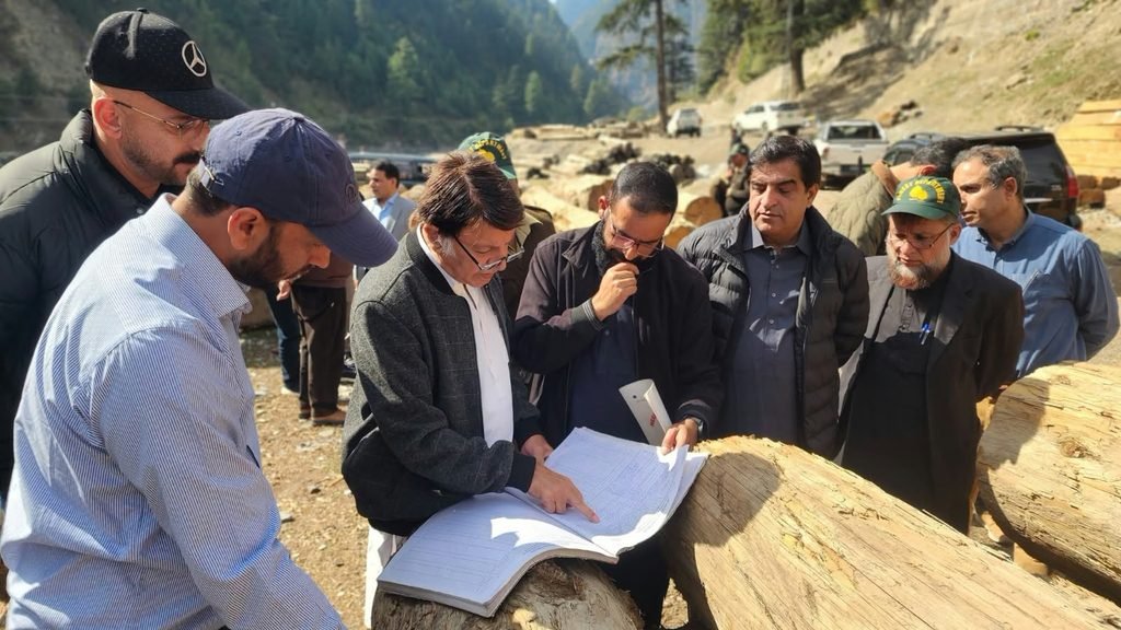 AJK Forest Minister Inspects Official Records at Athmuqam and Salkhala Forest Depots