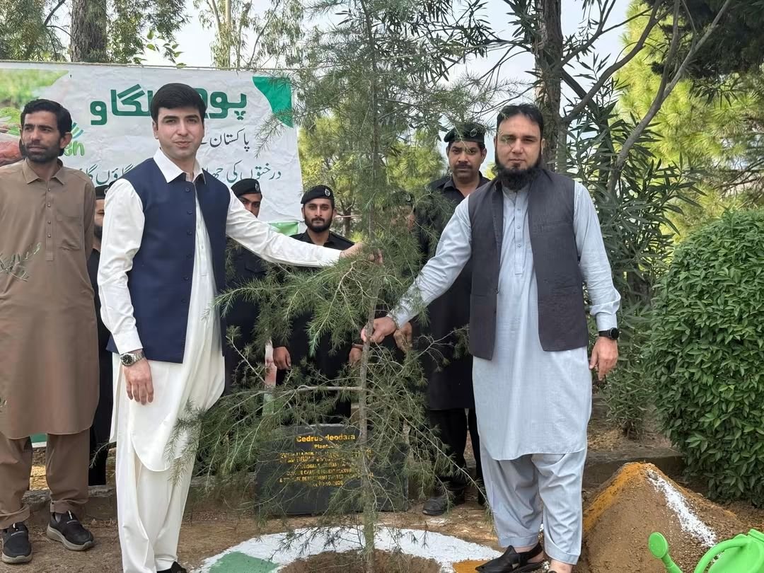 Additional Secretary Plants Deodar Sapling at KP House Abbottabad to Promote Green Initiatives