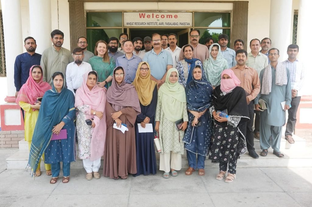 Australian Scientists Visit Faisalabad Wheat Research Institute to Explore Climate-Resilient Agriculture