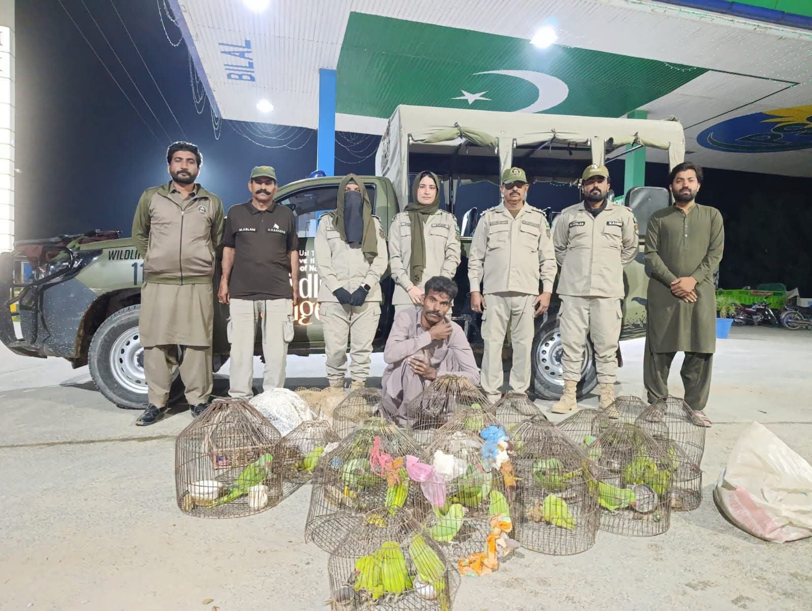 Bahawalnagar Wildlife Team Seizes 33 Parrots, Two Partridges in Anti-Poaching Raid