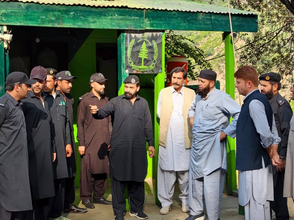 Conservator Forests Inspects Windfall Timber Depots in Lower Kohistan