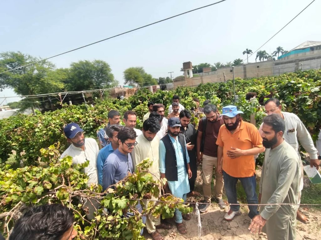 FAO Trains 250 Farmer Facilitators to Strengthen Climate Resilience in Sindh and Punjab FAO Trains 250 Farmer Facilitators to Strengthen Climate Resilience in Sindh and Punjab