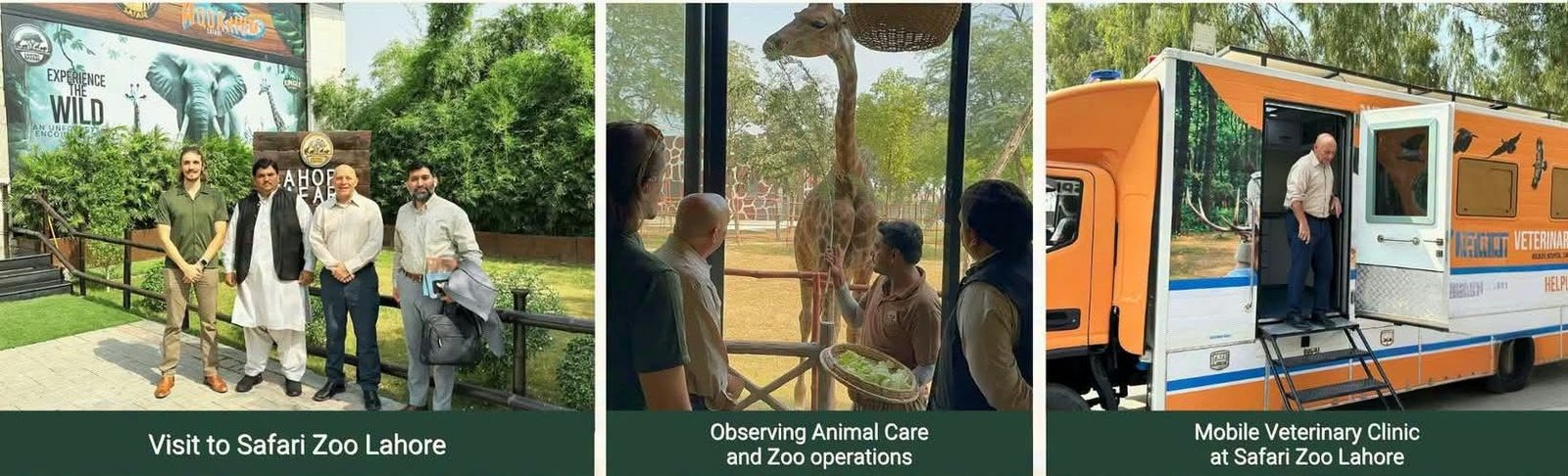 FAO and Punjab Wildlife Department Explore Training to Strengthen Wildlife Health