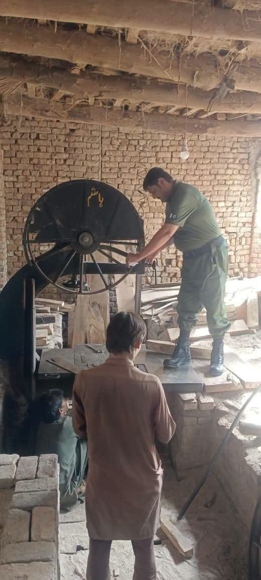 Forest Department Seals Five Sawmills in Mian Channu in Enforcement Drive