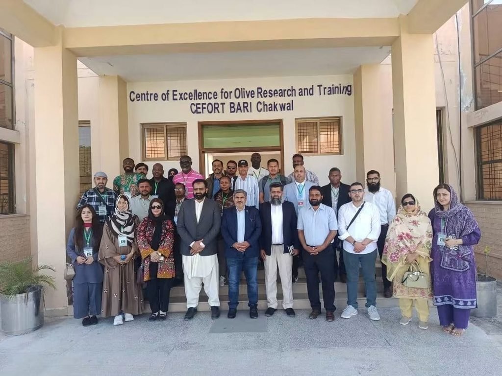 International Delegates Visit CEFORT Chakwal to Explore Olive Farming for Climate Resilience