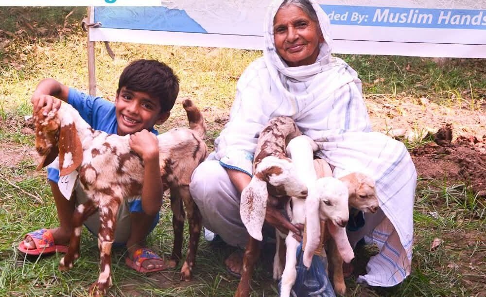 Muslim Hands Distributes Livestock to Flood-Affected Families in Muzaffargarh