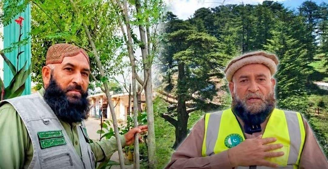 Pakistani Plants and Distributes More Than 2.5 Million Saplings to Promote a Greener Pakistan