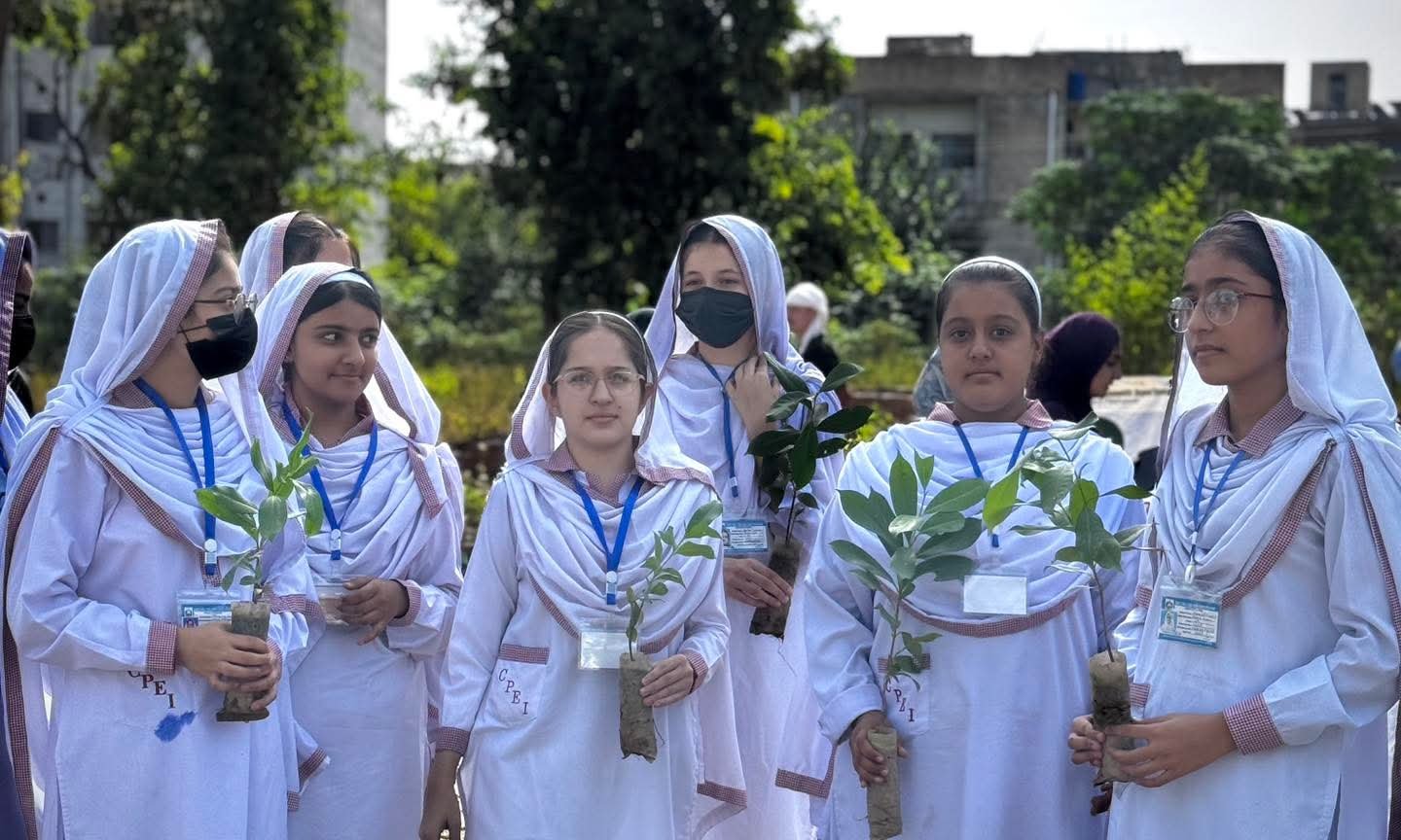 Peshawar Plants 1,500 Native Trees to Develop Miyawaki Urban Forest