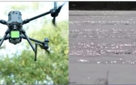 Punjab Expands Wildlife Protection with AI Technology, Rescues Thousands of Birds and Animals