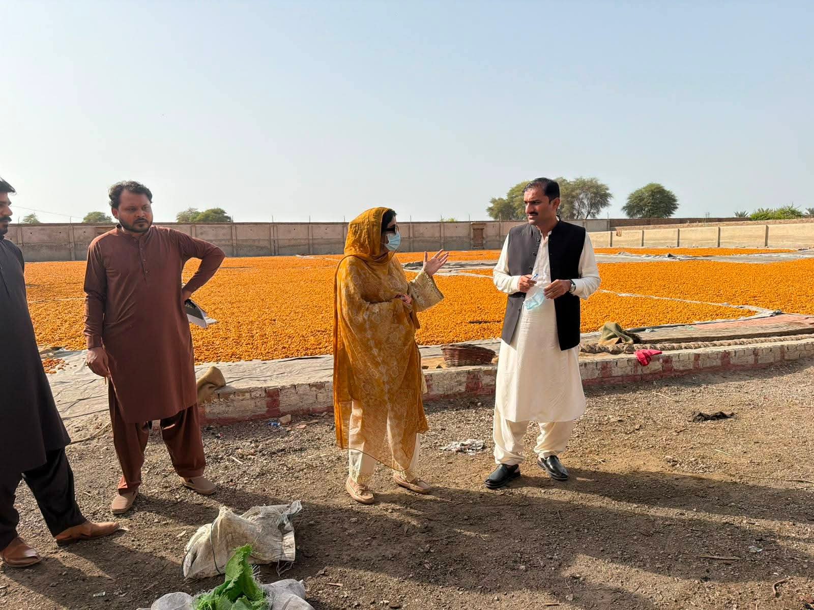 SEPA Inspects Industries at New Khajoor Mandi in Khairpur
