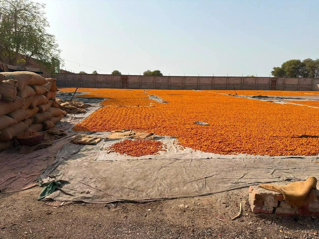 SEPA Inspects Industries at New Khajoor Mandi in Khairpur