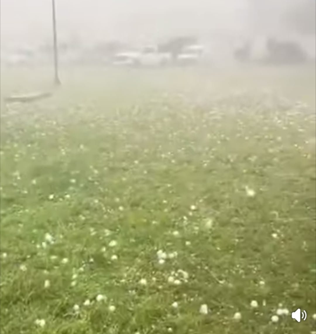 Severe Hailstorm Hits Parts of Mexico, Raising Concerns Over Extreme Weather