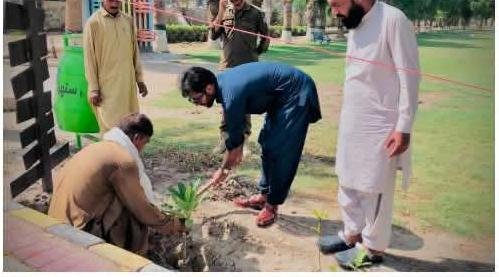 Tree Plantation Drive Launched at Nawaz Sharif City Park in Khanpur