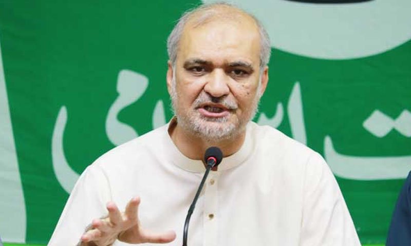 Petrol Price Could Fall to Around Rs225 If Levy Is Reduced, Says Hafiz Naeem