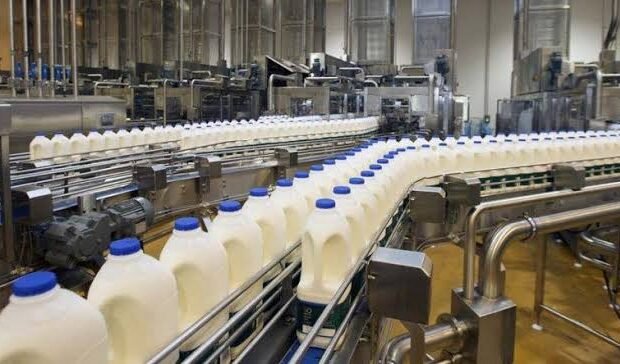 Punjab unveils dairy mechanization plan targeting 6,400 farmers