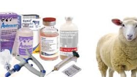 Pakistan’s livestock sector gets disease-control boost from China