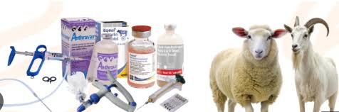 Pakistan’s livestock sector gets disease-control boost from China