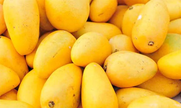 Fresh mango exports bring Pakistan 7m from 49 international markets