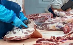 Pakistan boosts global meat trade with presence in 14 countries