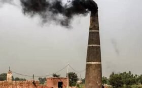 Sindh eyes greener brick industry through .5m transition plan