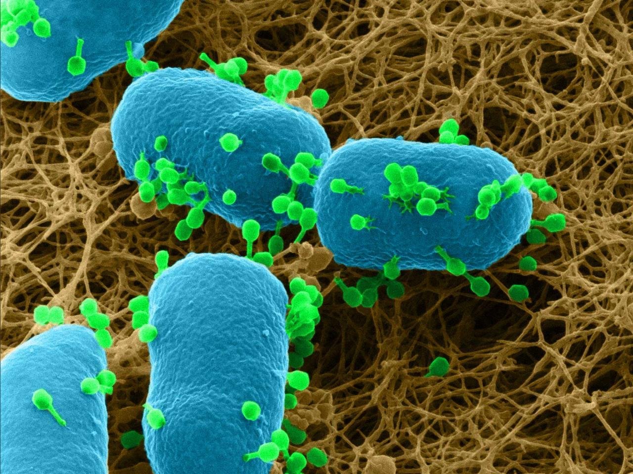 Scientists Administer AI-Designed Virus to a Human Patient for the First Time